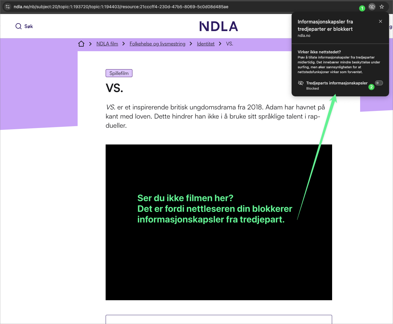 gh 2024-11-19 at 09.57.34Informasjonskapsler fra tredjeparter er blokkert.png